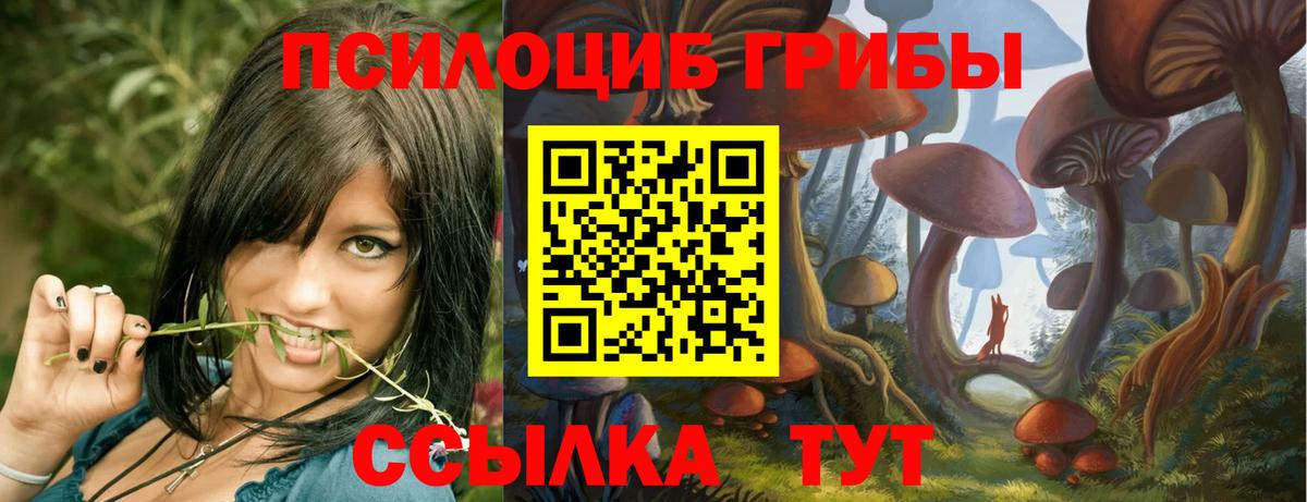 наркотики  Вход с VPN  Сорочинск  Галлюциногенные грибы Magic Shrooms  Псилоцибиновые грибы MAGIC MUSHROOMS 