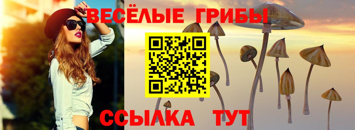 Галлюциногенные грибы прущие грибы Сорочинск